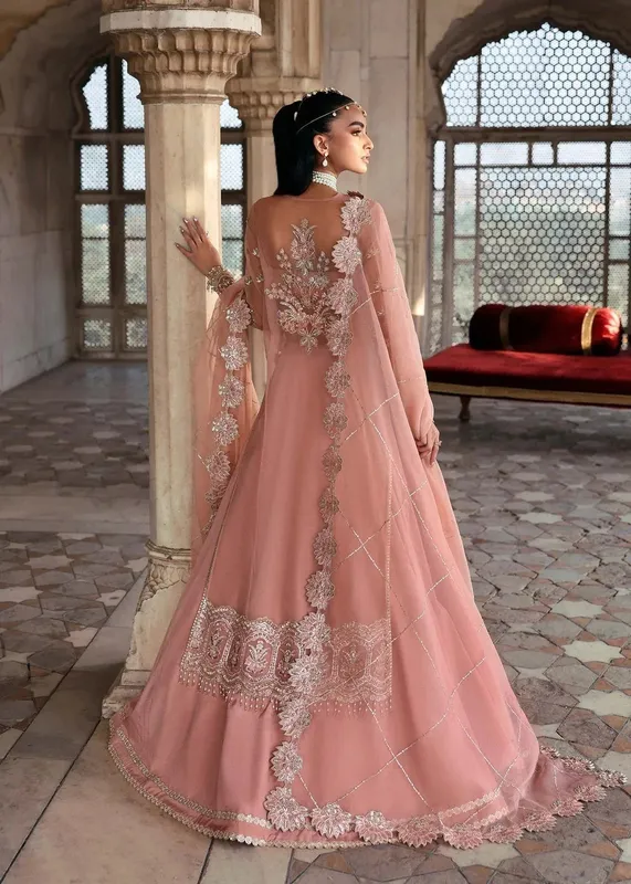 Akbar Aslam Dastaan Luxury Formals Organza – view 1 – Poshaq