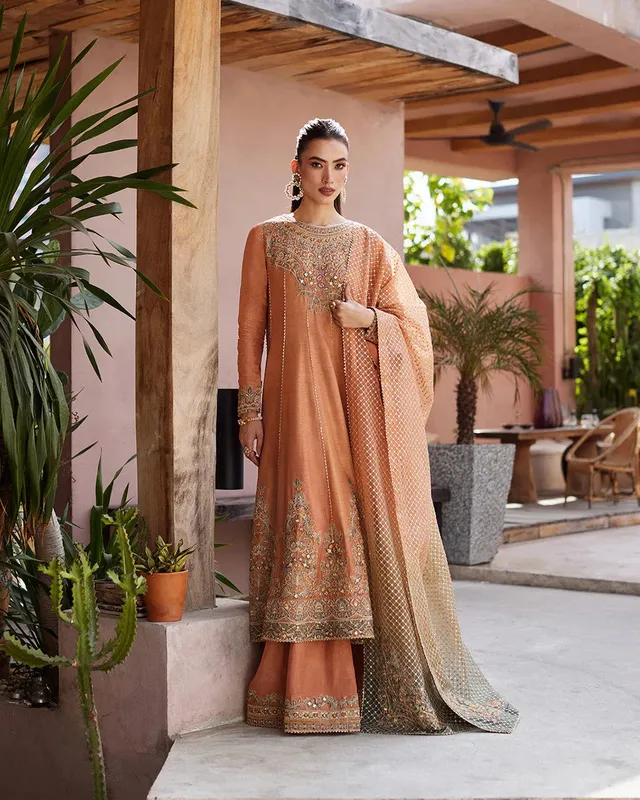 Faiza Saqlain Aurnia Spring Festive Edit 24 Rust Raw Silk – view 1 – Poshaq