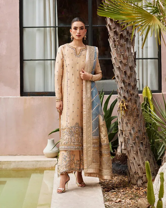 Faiza Saqlain Aurnia Spring Festive Edit 24 Raw Silk – view 1 – Poshaq