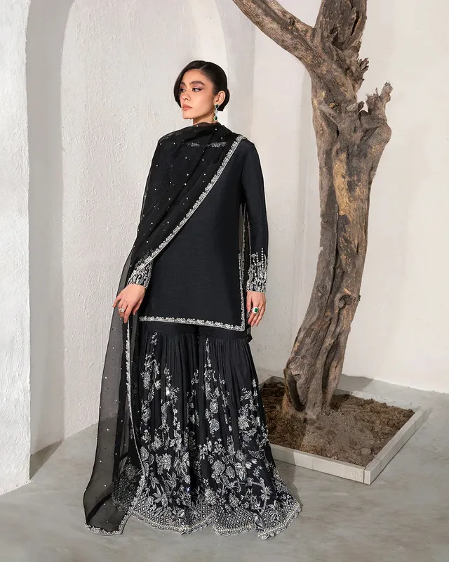 Faiza Saqlain Lenora Luxury Pret Black Raw Silk – view 1 – Poshaq