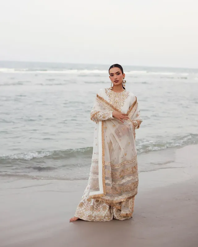 Faiza Saqlain Organza – view 1 – Poshaq
