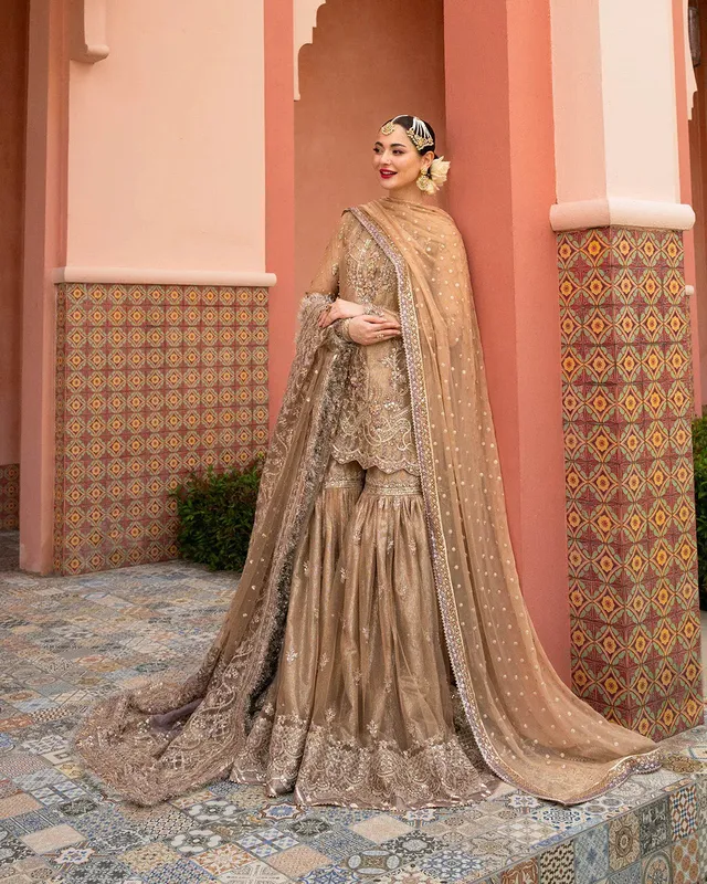 Faiza Saqlain Neorah Wedding Festive 24 Brown Net – view 1 – Poshaq