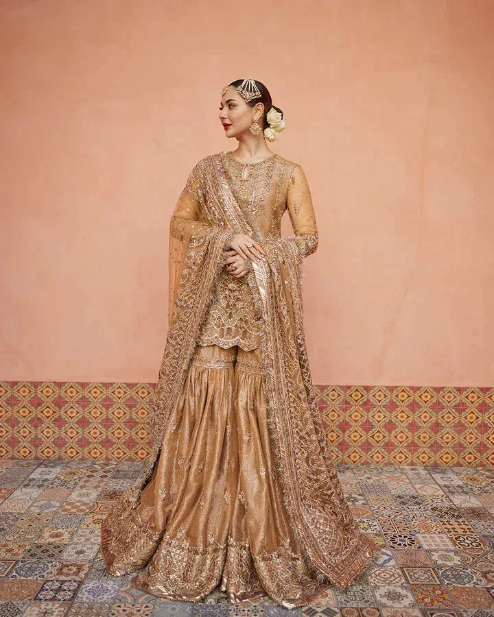 Faiza Saqlain Brown Organza – view 1 – Poshaq