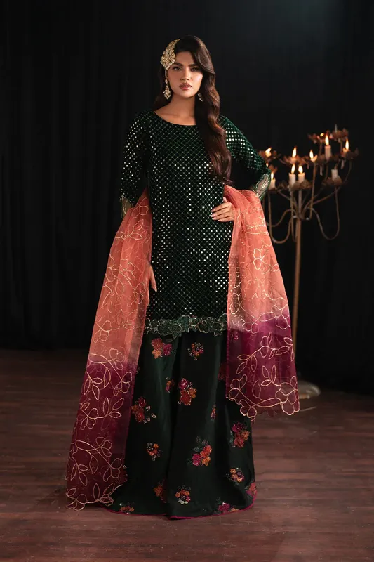 Iznik Exclusive Velvet Organza – view 1 – Poshaq