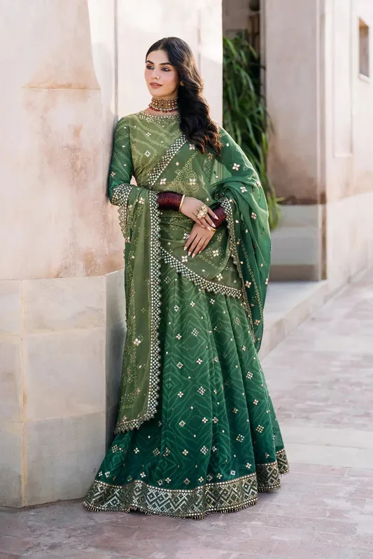 Iznik Bandhani Organza – view 1 – Poshaq