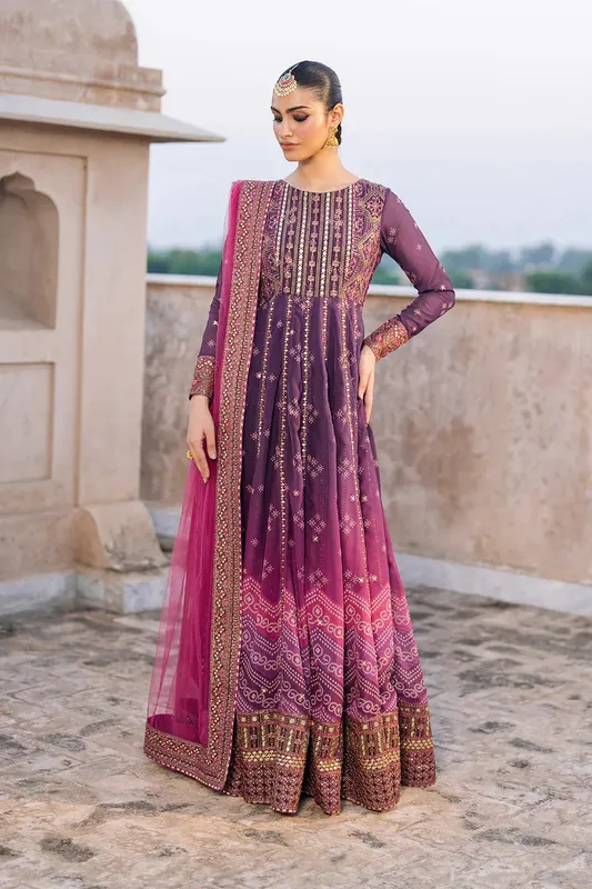 Iznik Bandhani Formals Organza – view 1 – Poshaq