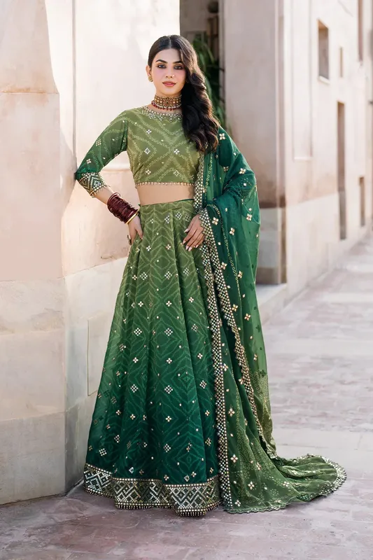 Iznik Bandhani Formals Organza – view 1 – Poshaq