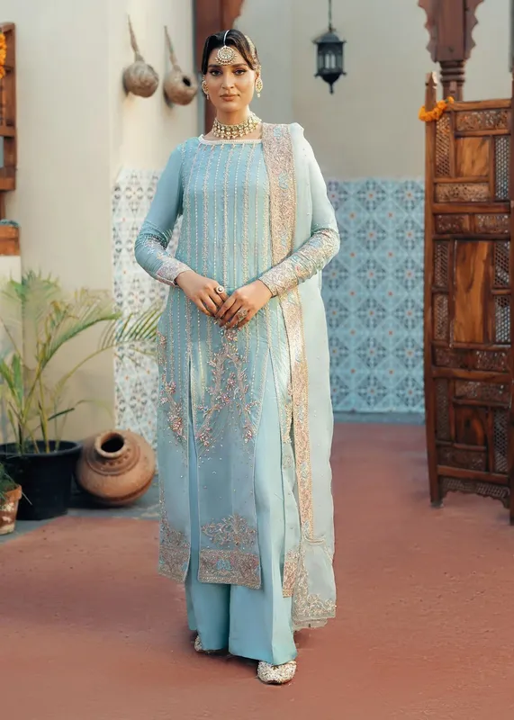 Jamnii Noor e Nazakat Light Blue Raw Silk – view 1 – Poshaq