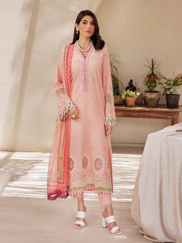 Rajbari Nissa Chikankari Edition 25 Pale Peach Organza – view 1 – Poshaq