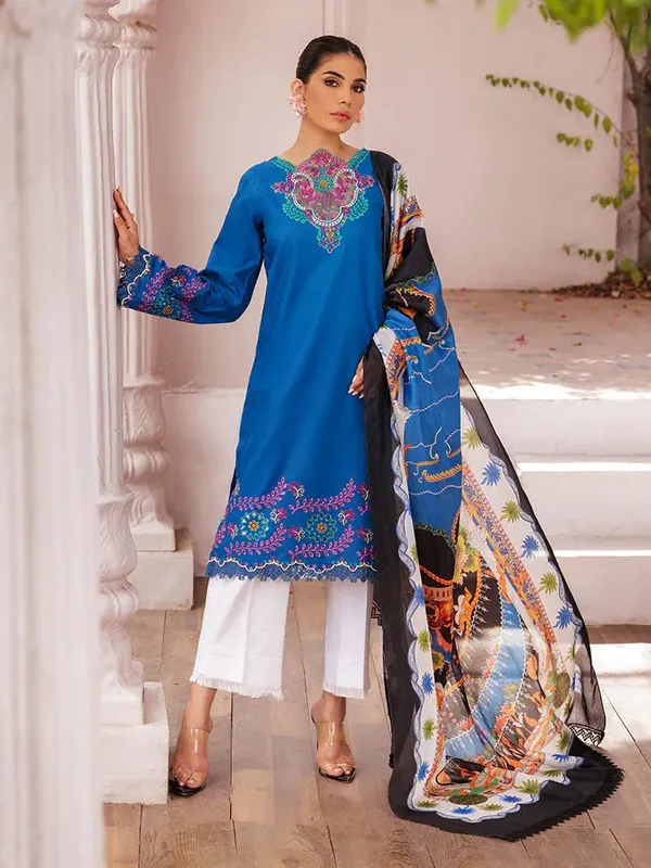 Rajbari Nissa Chikankari Edition 25 Blue Organza – view 1 – Poshaq