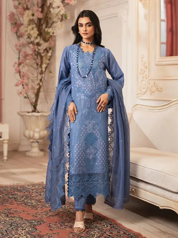 Rajbari Nissa Chikankari Edition 25 Blue Gray Organza – view 1 – Poshaq