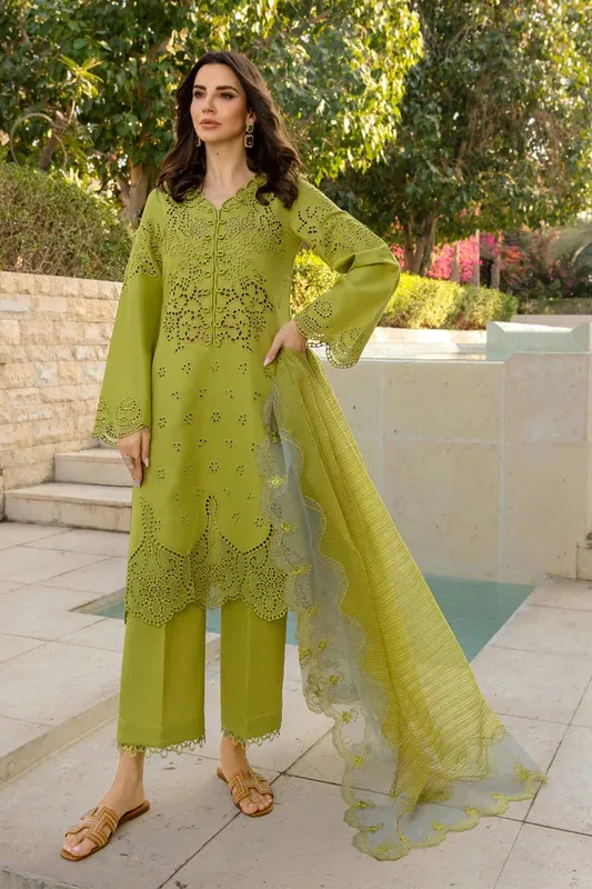 Rang Rasiya Carnation Summer 24 Green Organza – view 1 – Poshaq