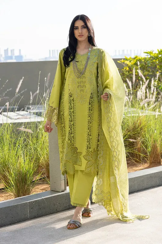 Rang Rasiya Carnation Summer Edit 25 Organza – view 1 – Poshaq