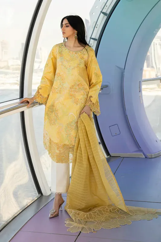 Rang Rasiya Carnation Summer Edit 25 Organza – view 1 – Poshaq