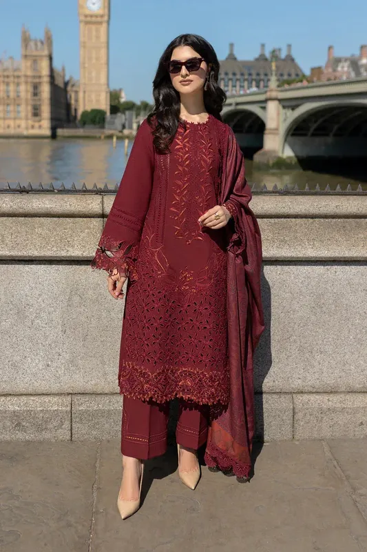 Rang Rasiya Carnation Winter Shawl Organza – view 1 – Poshaq