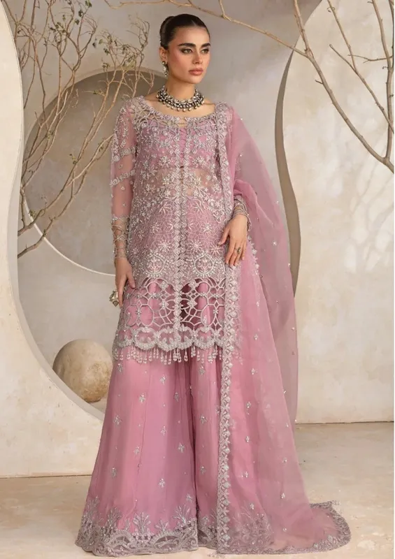 Rang Rasiya Chatoyer Wedding Formals 24 Pink Cotton – view 1 – Poshaq