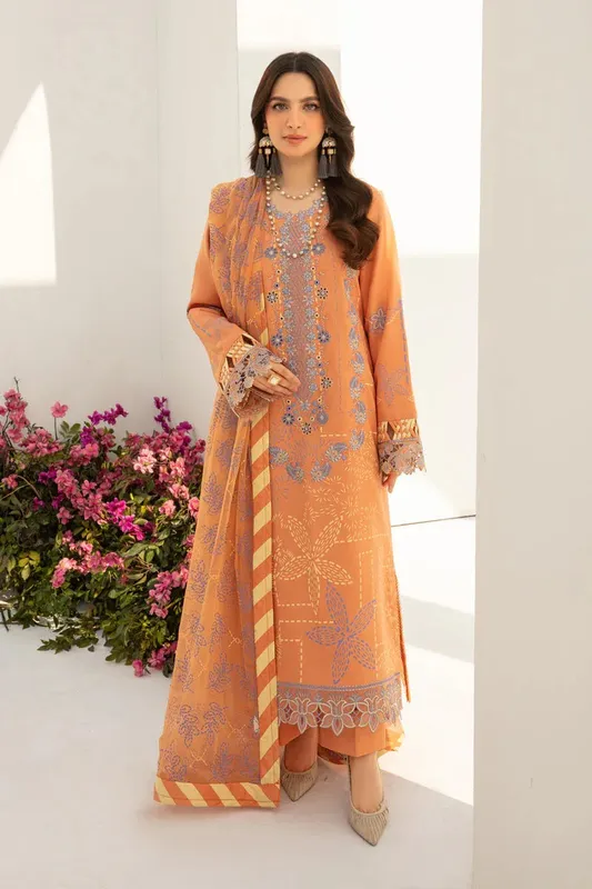 Rang Rasiya Florence Summer Edit 24 Orange Organza – view 1 – Poshaq