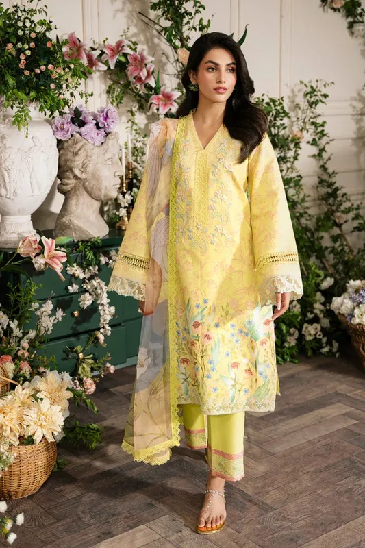 Rang Rasiya Lifestyle Embroidered Edit 24 Yellow Organza – view 1 – Poshaq