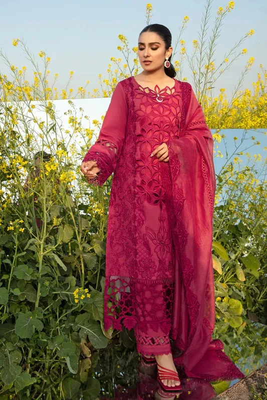 Rang Rasiya Premium Collection 24 Red Organza – view 1 – Poshaq