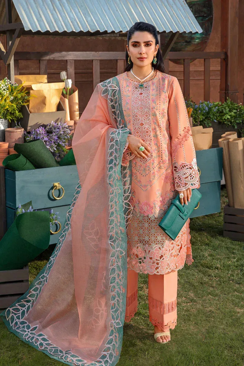 Rang Rasiya Premium Collection 24 Peach Organza – view 1 – Poshaq