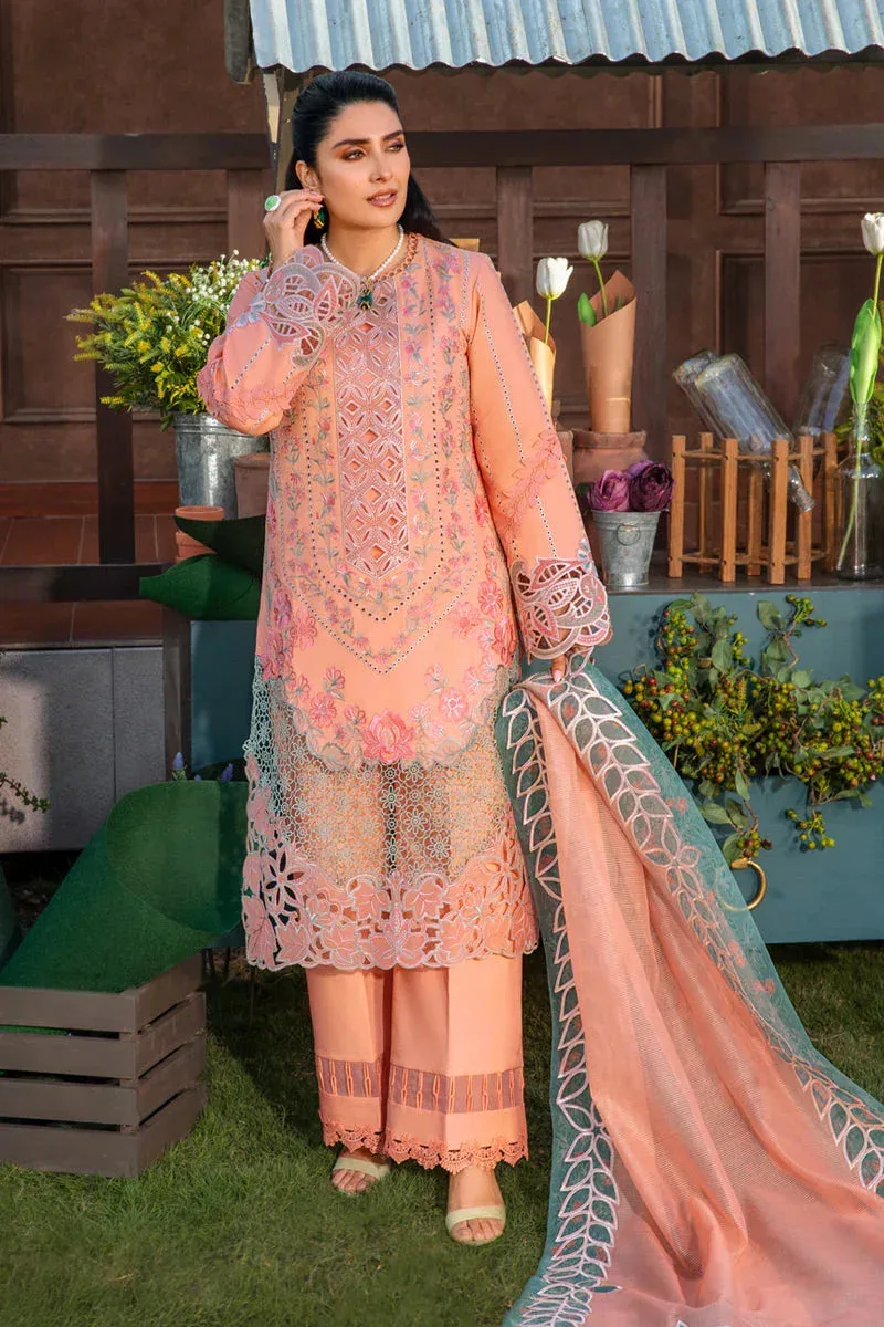 Rang Rasiya Premium Collection 24 Peach Organza – view 2 – Poshaq