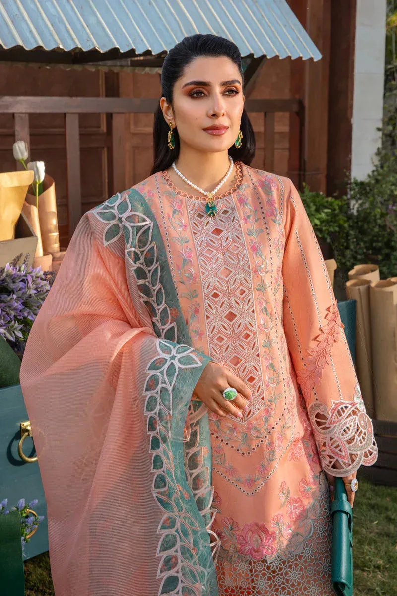 Rang Rasiya Premium Collection 24 Peach Organza – view 4 – Poshaq