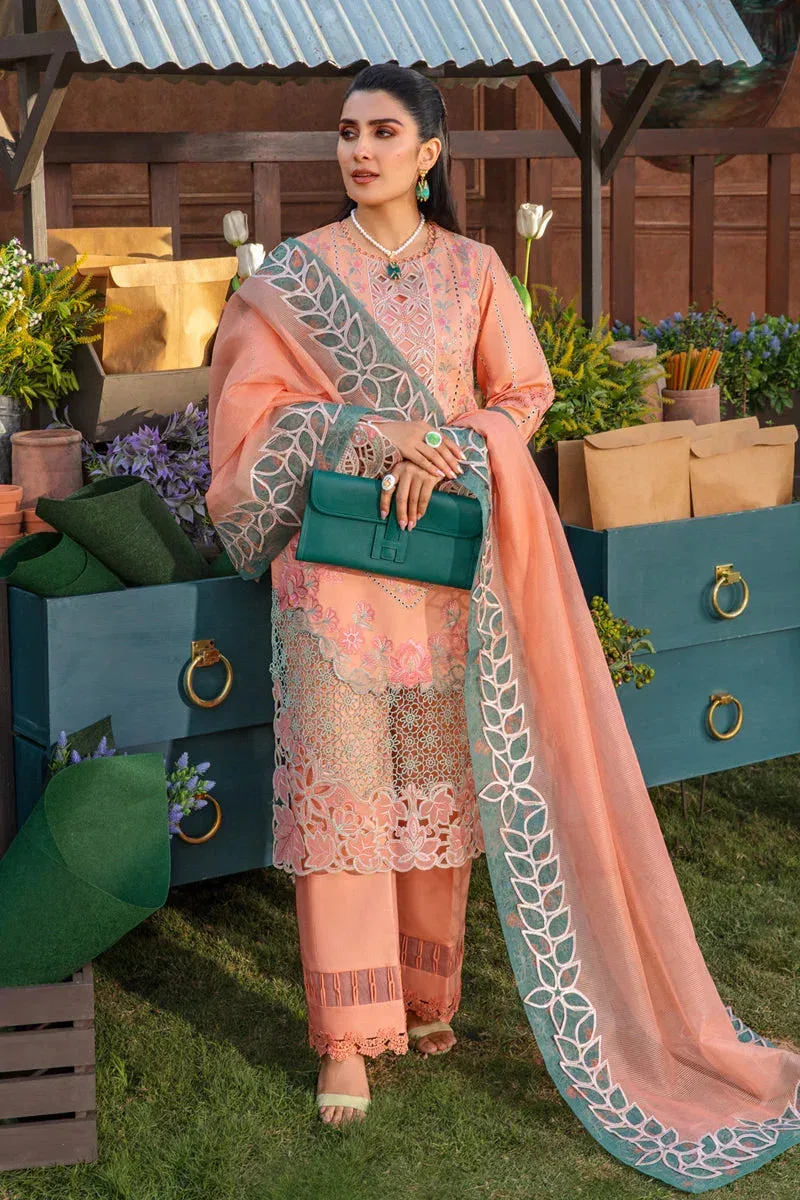 Rang Rasiya Premium Collection 24 Peach Organza – view 5 – Poshaq
