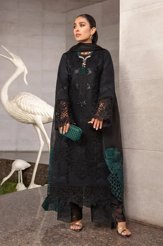 Rang Rasiya Premium Collection 24 Black Organza – view 1 – Poshaq