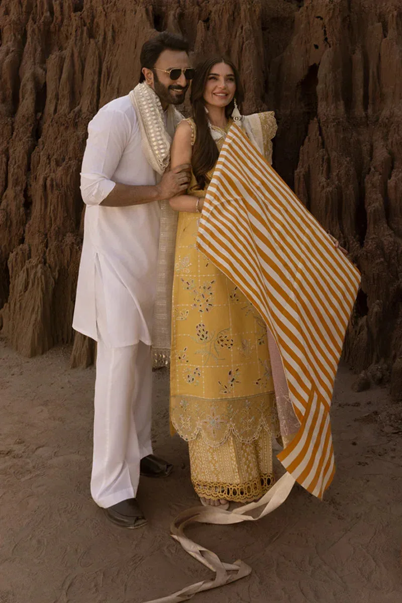 Rang Rasiya Premium Eid Edit 25 Organza – view 6 – Poshaq