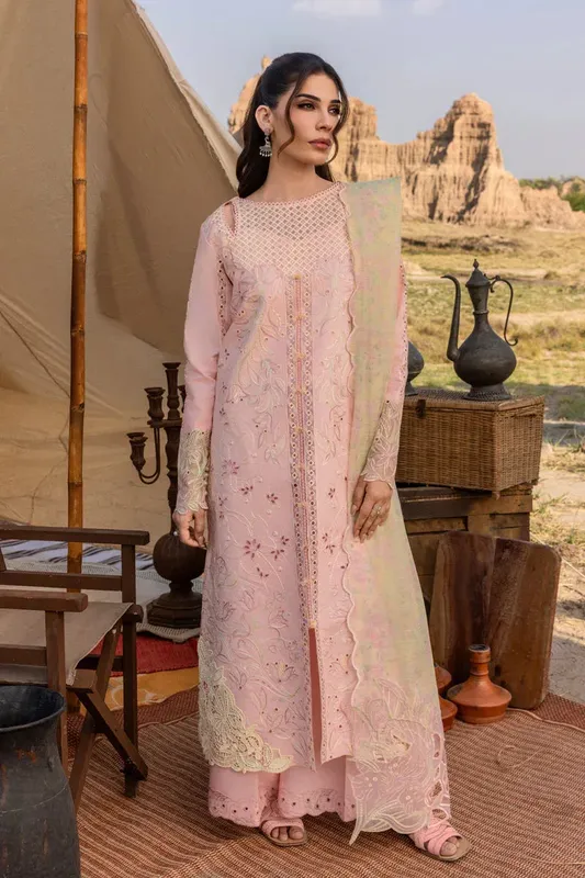 Rang Rasiya Premium Eid Edit 25 Organza – view 1 – Poshaq