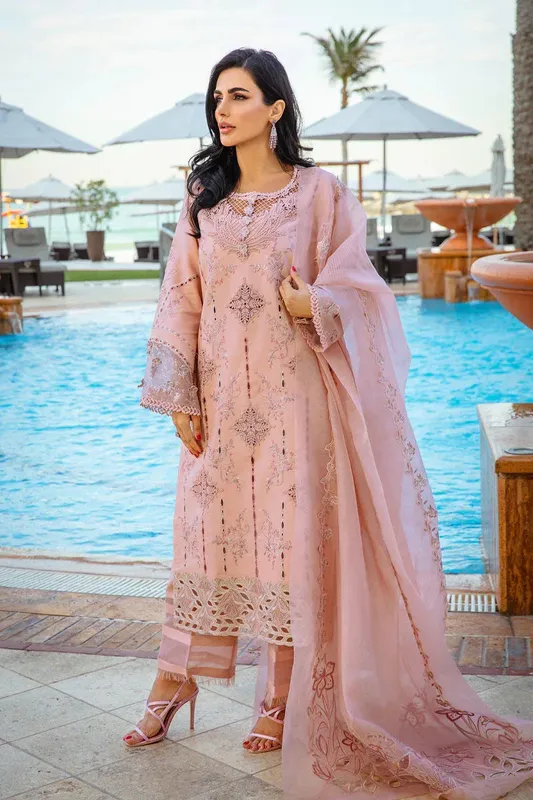 Rang Rasiya Premium Summer Lawn 25 Organza – view 1 – Poshaq