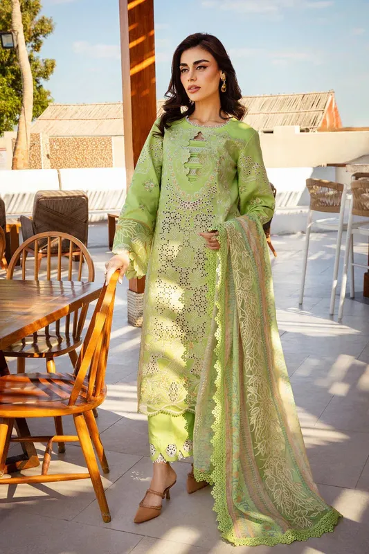 Rang Rasiya Premium Summer Lawn 25 Organza – view 1 – Poshaq