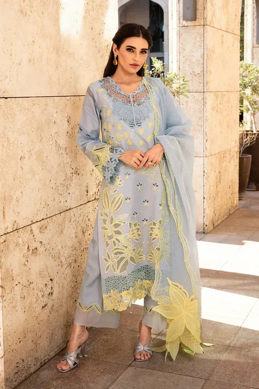 Rang Rasiya Premium Summer Lawn 25 Organza – view 1 – Poshaq