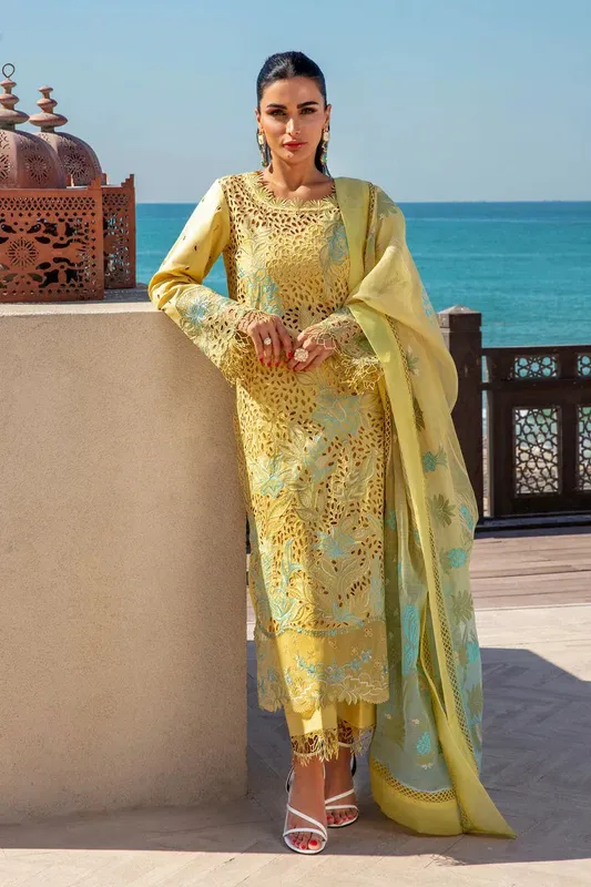 Rang Rasiya Premium Summer Lawn 25 Organza – view 1 – Poshaq