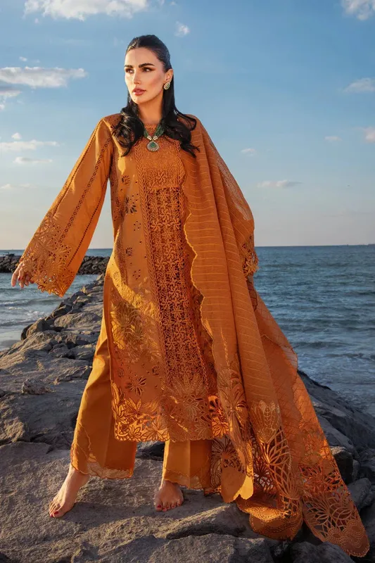 Rang Rasiya Premium Summer Lawn 25 Organza – view 1 – Poshaq