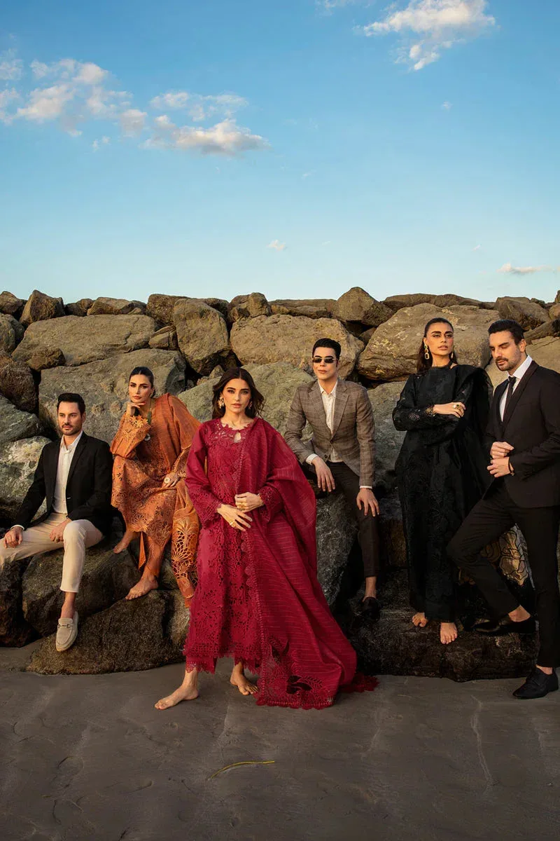 Rang Rasiya Premium Summer Lawn 25 Organza – view 5 – Poshaq