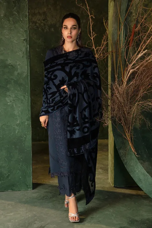 Rang Rasiya Premium Winter Edit 24 Organza – view 1 – Poshaq