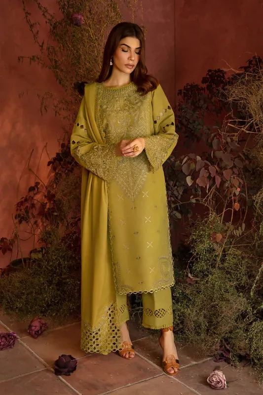 Rang Rasiya Premium Winter Edit 24 Organza – view 1 – Poshaq