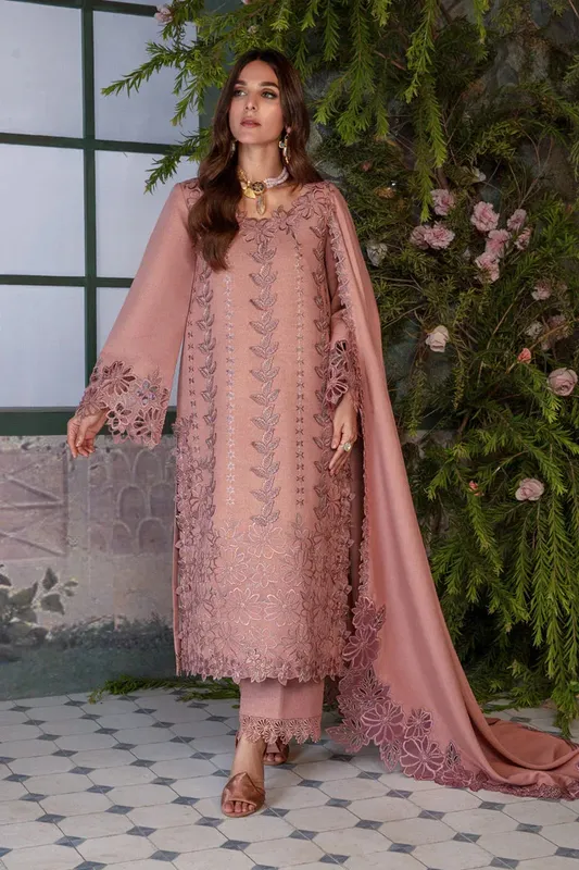 Rang Rasiya Premium Winter Edit 24 Organza – view 1 – Poshaq