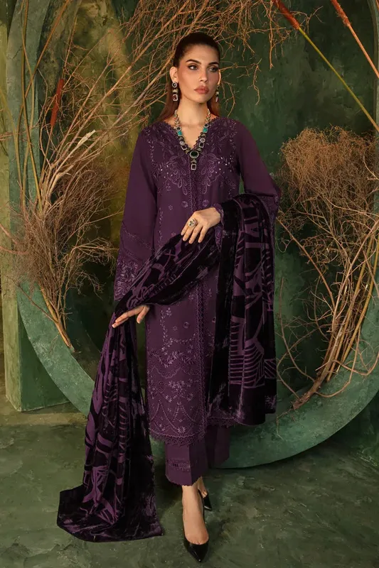 Rang Rasiya Premium Winter Edit 24 Organza – view 1 – Poshaq