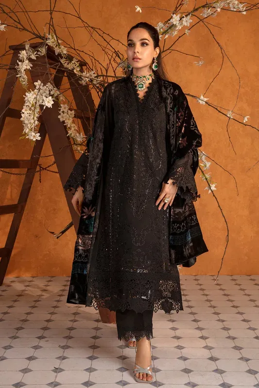 Rang Rasiya Premium Winter Edit 24 Organza – view 1 – Poshaq