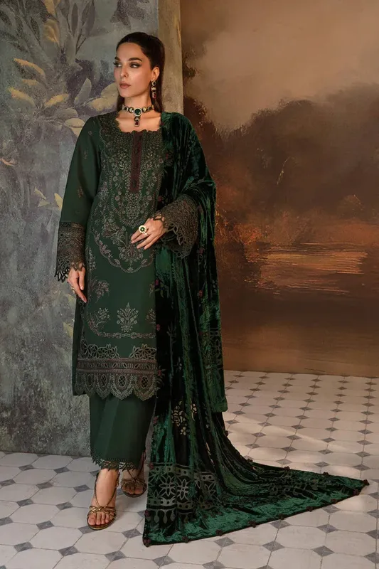 Rang Rasiya Premium Winter Edit 24 Organza – view 1 – Poshaq