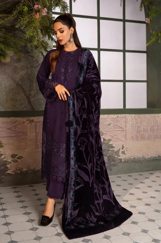 Rang Rasiya Premium Winter Edit 24 Organza – view 1 – Poshaq