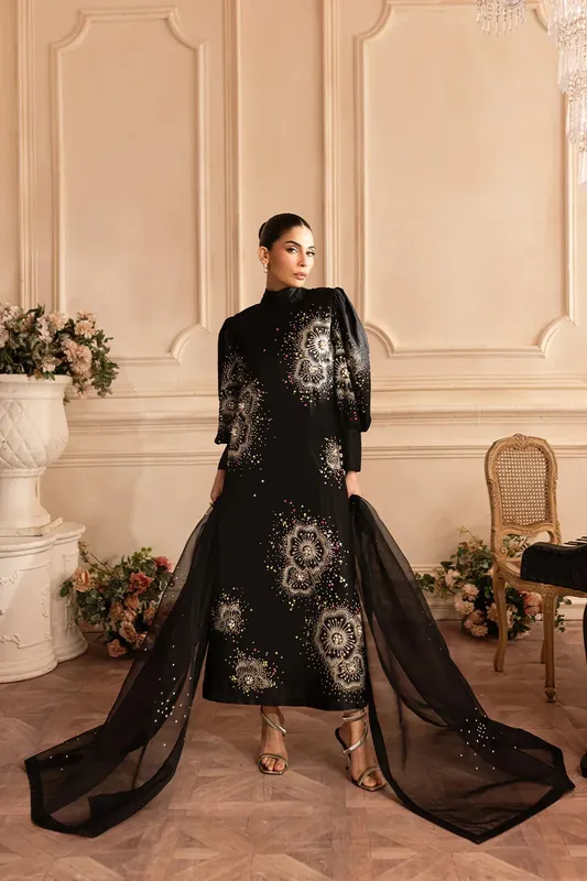 Vanya Marlene Formals Black Organza – view 1 – Poshaq