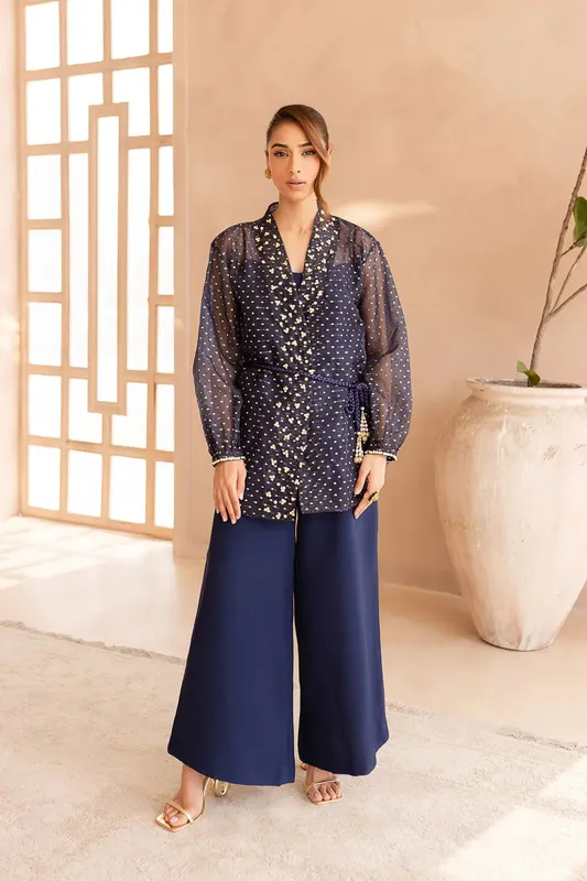 Vanya Veranda Fromals Navy Organza – view 1 – Poshaq