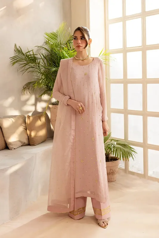 Vanya Kaya Formals Light Pink Raw Silk – view 1 – Poshaq