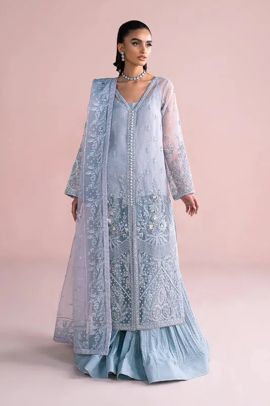 Vanya Fareesha Formals Blue Raw Silk – view 1 – Poshaq