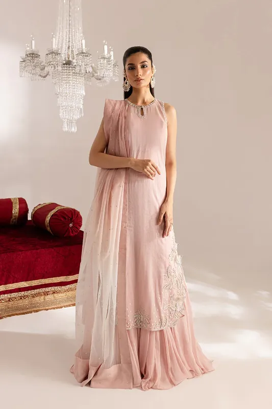 Vanya Gulraz Formals Powder Pink Organza – view 1 – Poshaq