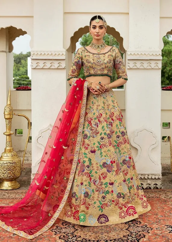 Waqas Shah Taj Mahal Beige Net – view 1 – Poshaq