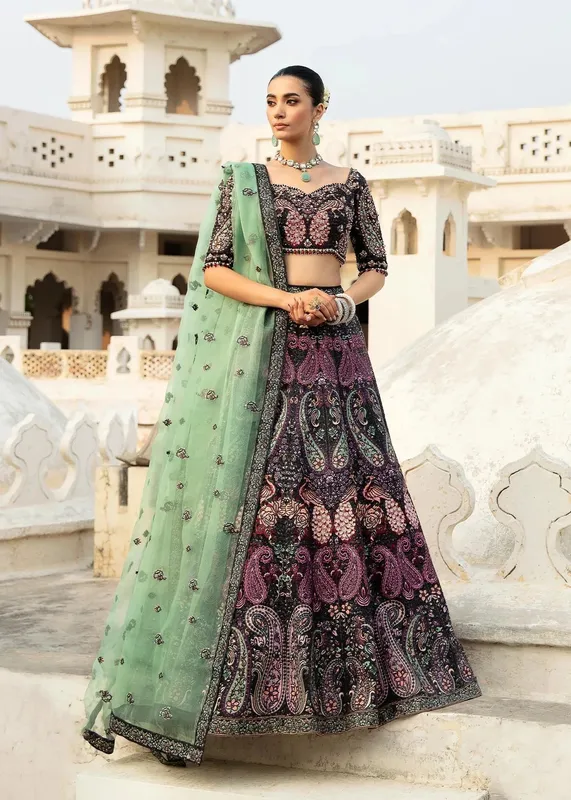 Waqas Shah Taj Mahal Black Organza – view 1 – Poshaq